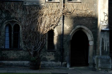 DSC_6395 - Arbeitskopie 2